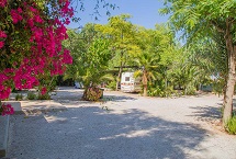 Parcelas camping Standard